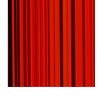 Rot
