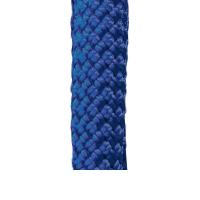 Electric Blue