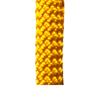 Goldenrod